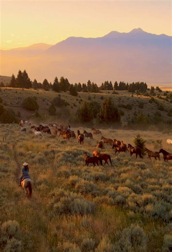 Paradise Valley, Montana!! | Montana