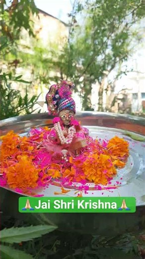 #shyamjibhakti #krishna #bihariji #bhajan #bhakti #jmrgwkrishna #trending #shortsfeed