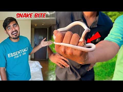 Bablu Got Bitten By Snake😱| बबलू को सांप ने काट लिया | What Will Happen?