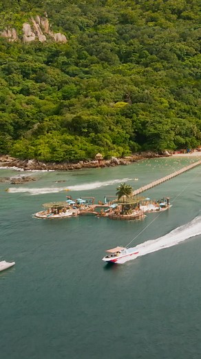 MEG2: 最恐MEG（メガロドン）の群れが人類に襲いくる！