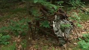 WWII Plane Crash Memorial Hike