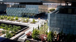 Telefónica Tech | IBM