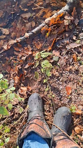 24 reactions | Il va avoir des lignes qui vont ce promener à l étang | David Jacquel | Facebook