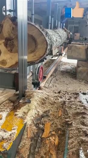 5K views · 14 reactions | Central Machinery Saw Mill Worker | ABC Woodworking Tools | Facebook