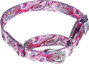 Martingale Dog Collars -Adjustable Soft Dog Collar.Colorful Flower Multicolor Cute Patterns for Puppies for Medium Large Dogs Walking Running Training (M:2.5cm Wide for 36-45cm Neck, Pink)