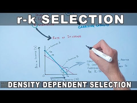 r-k Selection | Density Dependent Selection