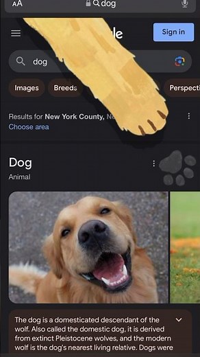 Get a Paw-some Cursor on Google! 🐶🐱#google #hack #cat #dog