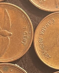 1867-1967 Centennial Canadian Penny With the Rock Dove in Flight - Etsy