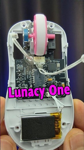 What's inside a mouse with REPLACEABLE microphones? Lunacy One #Mouse #Mouse #Lunacy