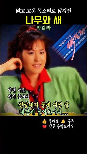 나무와 새 . 박길라 #7080음악 #추억의노래 #시니어