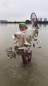 7.7M views · 10K reactions | Net Fishing / Catching Fish Using Cast Net Fishing in River  | Daily Discovery | Facebook