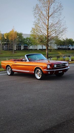 64K views · 3.1K reactions | “If today’s technology was available in the 1960’s this is the Mustang that Ford would have built.” Straight from the proud owner of this 1966 Revology Mustang GT Convertible. "Everyone was impressed," the owner said, when he showed off this beauty, Car 282, in a car show just three weeks after taking ownership. Built to impress. And to experience. #RevologyMustang #CarShows #ClassicMustang #Restomod #BuiltToDrive | Revology Cars | Facebook
