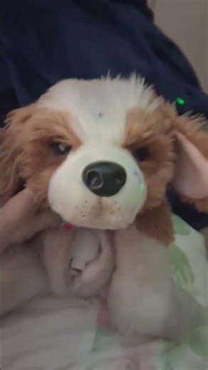 little live pets my really real puppy patches test mode