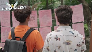 42K views · 302 reactions | Chengdu is a city of leisure. As an old...