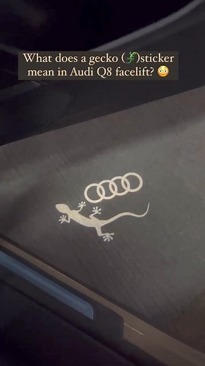 What does a gecko (🦎) sticker mean in Audi Q8 facelift?Comment Below ✨😳#AudiQ8 #Yourspace | Zee Business