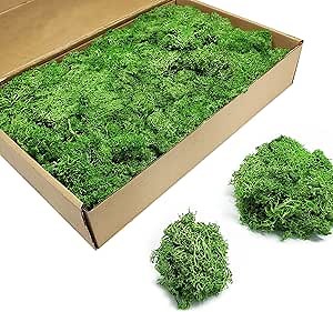 TurelinnG Preserved Moss 3 OZ Reindeer Craft Moss, Fake Moss Suitable for Flowerbeds, Crafts, Home Office Artistic Decoration Green