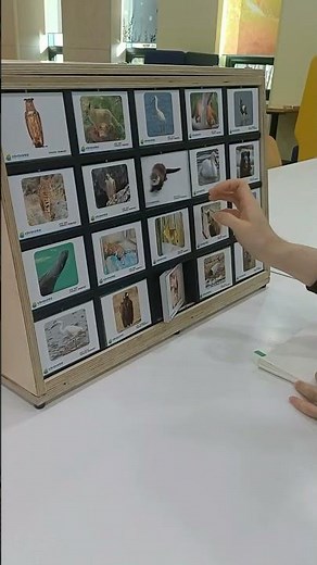 [주안도서관]2026년 2월 인천광역시교육청주안도서관 과학교구 특별전시