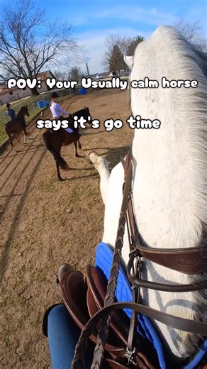 Part 1. Sensitive horses communicate before they react — sometimes we notice it too late. This was a lesson ride where Ike got overwhelmed. Part 2 breaks down the reset and what I learned. #horseriding #equestrianlife #tobecontinued #horsememe #funnyhorse