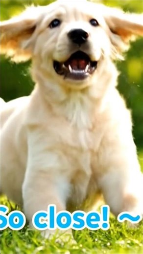 Puppy Meets Butterfly – Cutest Moment Ever! 🦋#puppy #doggielife #pets #cute