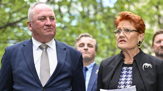 Barnaby Joyce backs ‘solid, formidable position’ of One Nation