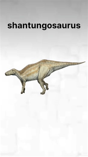 The Cretaceous Giant: Shantungosaurus#facts #dinosaur #extinctanimals #shorts #shantungosaurus