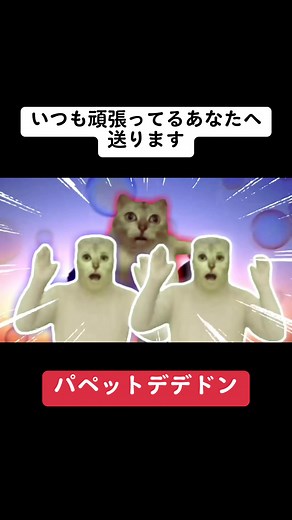 デデドン猫ミーム音MAD｜パペットスンスンで頑張ってるあなたへ