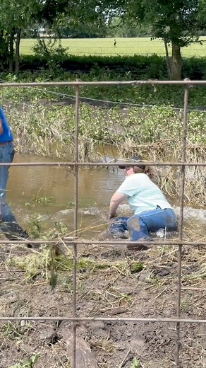 179K views · 3.6K reactions | She had a little trouble keeping it upright  #Flood #Storm #Damage #FloodDamage #Water #WaterDamage #Rain #Ranch #ranchLife #KeepRanchin #Fencing #Fall | Bar 7 Ranch | Facebook