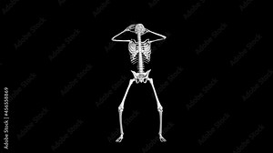Skeleton animation while sitting. 3D animation of a skeleton. Skeleton emotions while sitting. Transparent background.