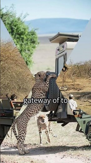 Gaborone Botswana Travel Guide 🇧🇼 | Africa’s Hidden Desert Capital |