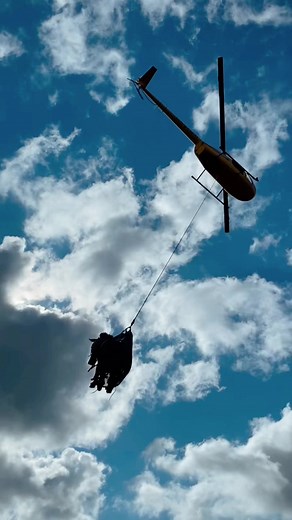 Ed the Zebra's Safe Airlift Adventure in Tennessee