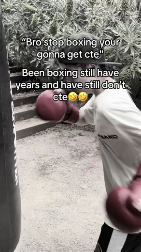 Boxing and CTE Memes