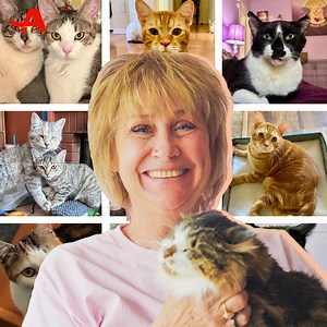 17K reactions · 1.6K shares | “My whole life, since I was brought...