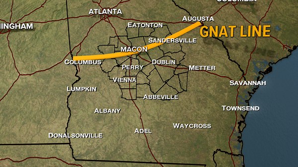 Georgia's 'Gnat Line' is real: Why the flies are more numerous in some areas