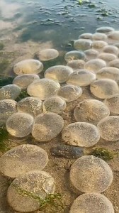 963K views · 38K reactions | You are going to receive unexpected money in the next 72 hours #viralreels #fbreels #reelsfb #facebookreels #anardreams #usareels #lifestyle #Godblesseveryone #moneygoals #lawofabundance #moneymindset #moneymotivation #MoneyManagement #money #wealth #dubailifestyle #moneypower | Manifest Angel | Facebook