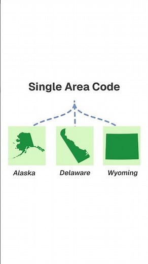 How Many Area Codes Are in the US?