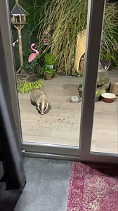 19K views · 7.4K reactions | One Happy Happy Nut Fairy! Mr Lumpy arrived whilst I was awake and he’s looking really well, I also managed to get the door open ❤️ | Mr Lumpy & Friends. | Facebook