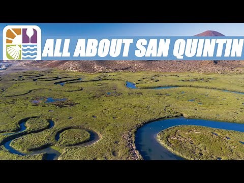 Things To Do and Know about San Quintin, Baja California