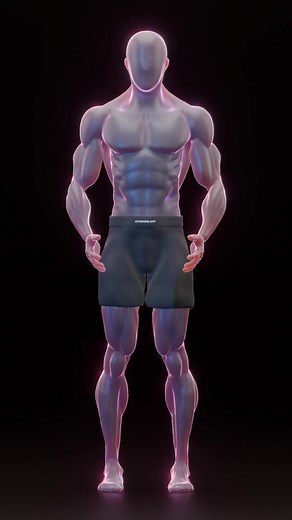 Most people curl without knowing what’s actually happening inside their arms. With a barbell, your forearms take most of the load before your biceps even get involved. With dumbbells, your forearms work less and your biceps contract way harder, reaching up to 80 percent activation. Use both, but understand the difference so you actually grow. Save this for your next arm day. Follow SynerMuscle for simple science that actually makes sense. #bicepcurl #barbellcurl #dumbbellcurl #armday #bicepactiv