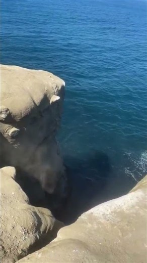 Best Water Fails! 💦 Funniest Videos of the Summer#viral #shorts #swimming