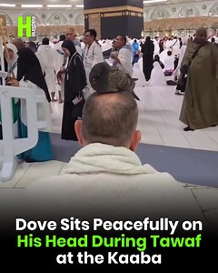 A worshipper circles the Kaaba with a dove resting quietly on his head, creating a small moment of calm in the middle of the tawaf. | Headline Pakistan