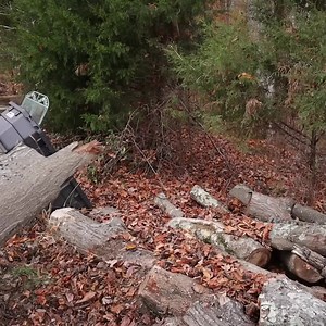 Timber Claw Hook, 28 inch 4 Claw Log Grapple for Logging Tongs, Swivel Steel Log Lifting Tongs, Eagle Claws Design with 2205 lbs/1000 kg Loading Capacity for Tractors, ATVs, Trucks, Forklifts. | VEVOR Home Improvement