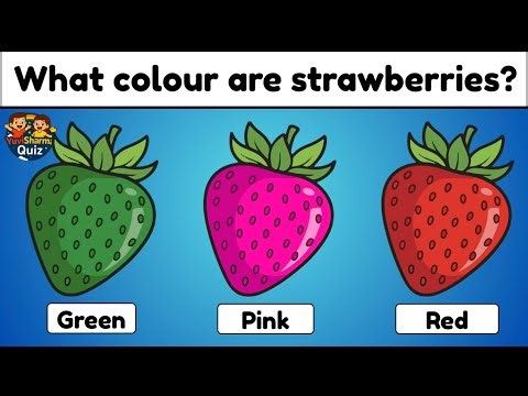 GK Quiz for Kids 🏆 | Fun General Knowledge Questions | Test Your Brain! @YuviSharmaQuiz_tv25