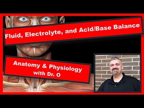 Fluid, Electrolyte, and Acid/Base Balance: Anatomy and Physiology