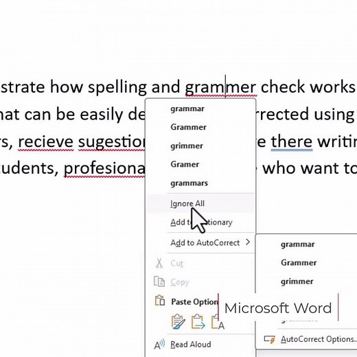 MS Word Spelling & Grammar Check