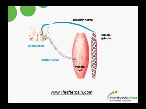 Myofascial Trigger Points: Causes and Treatment