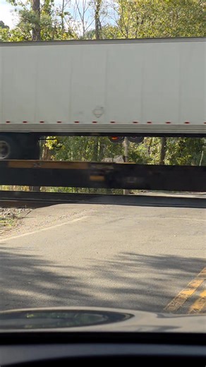 12 reactions | My first time seeing #Amazon carts on the train! They pushing that work you hear me!!! | Duana Wright | Facebook