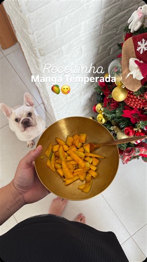 Lucas & Wesley on Instagram: "Manga temperada, comeria? 😋 Depois que você comer manga desse jeito, nunca mais vai querer comer de outra forma. Mais comum é comer manga verde com sal, acho q todo mundo já comeu desse jeito né?? Ai fomos no shopping e conhecemos uma franquia que vende essas mangas temperada e amamos e resolvemos reproduzir em casa e deu muito certo, ficou uma delícia 😋 Usei: 1 manga 1 colher de sobremesa de sal 1 colher de sobremesa de Lemom pepper 1 colher de sobremesa de pápri