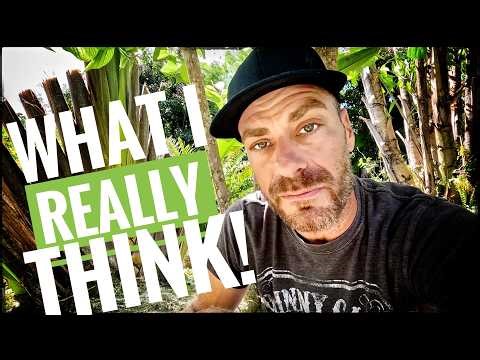 Why Did PetSmart Stop Selling Turtles?