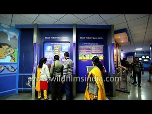 Exhibitions at National Science Centre