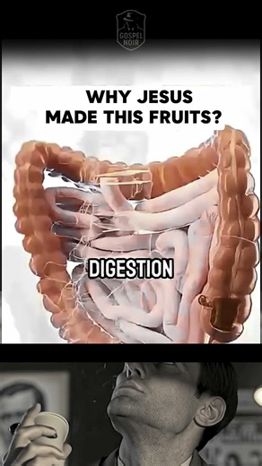 Case File: The Truth About “Natural Detox” Mixes — What’s Real & What’s Not?24